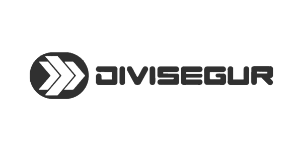 Divisegur