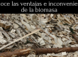 ventajas e inconvenientes de la biomasa