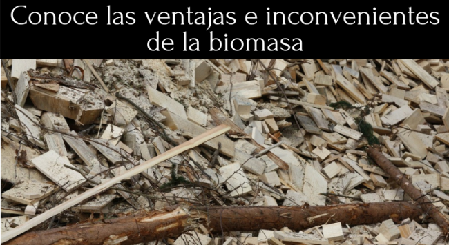 ventajas e inconvenientes de la biomasa portada ventajas e inconvenientes de la biomasa